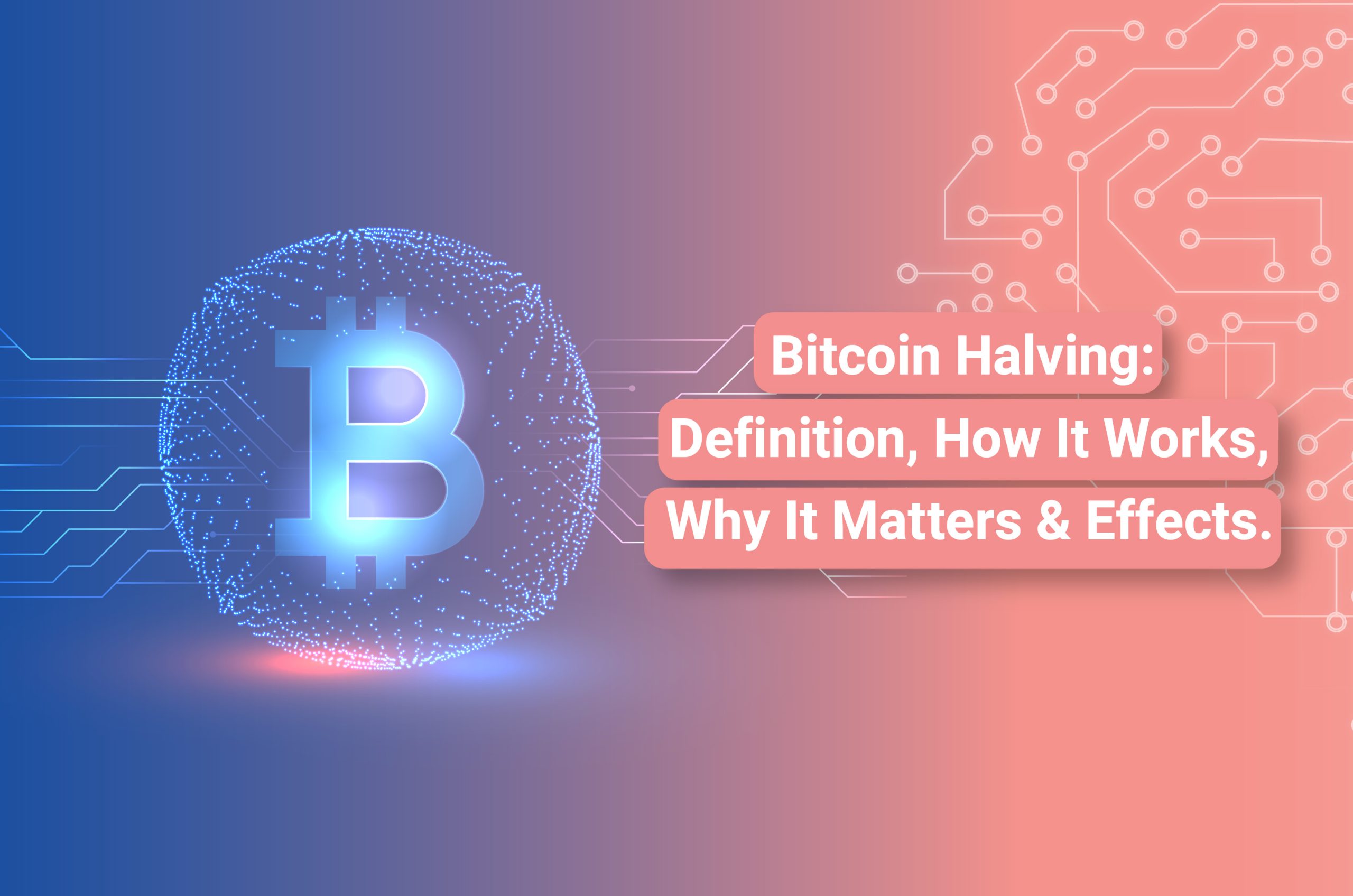 Bitcoin Network Dynamics Shift Ahead of Halving Event